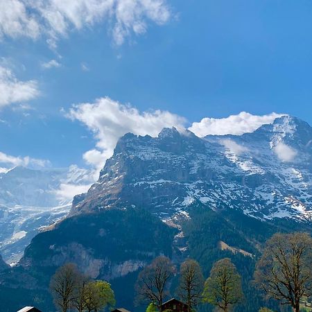 Eiger, Jungfrau, Luxury Garden Apartment 그린델발트 외부 사진