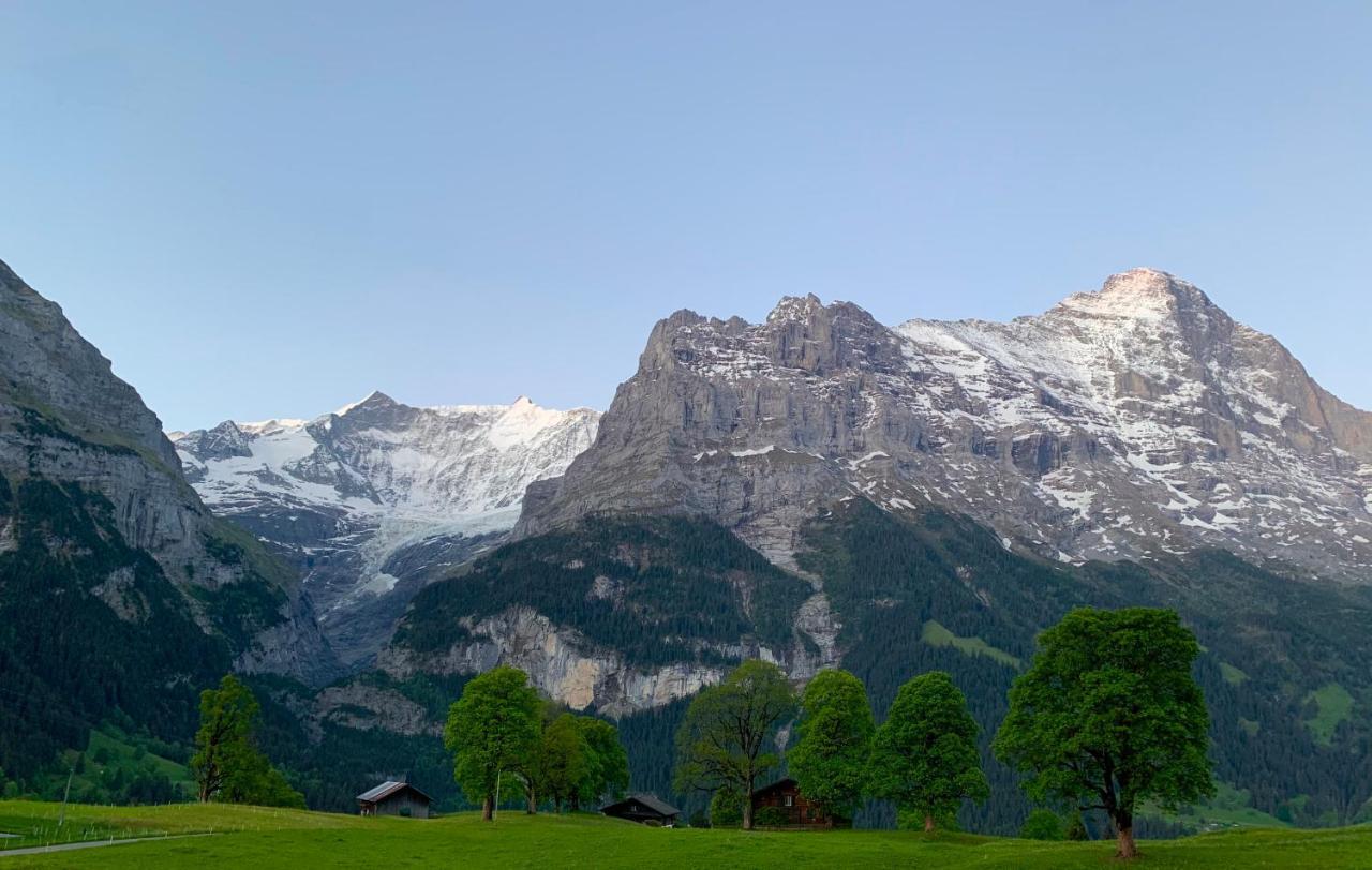 Eiger, Jungfrau, Luxury Garden Apartment 그린델발트 외부 사진